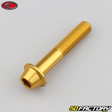 Tornillo de 8x45 mm BTR cabeza abombada base dorada Evotech (por unidad)