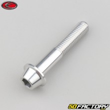 Tornillo de 8x45 mm BTR cabeza abombada gris base Evotech (por unidad)