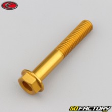 Tornillo de 8x50 mm cabeza hexagonal base  Evotech dorado (por unidad)