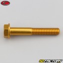 8x50 mm screw hex head Evotech gold base (single)