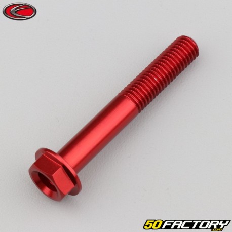 8x55 mm screw hex head Evotech base red (per unit)