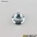 Crown screws and nuts Yamaha YFZ 450 R, Raptor 700 ...