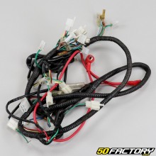 Wiring Harness Conti Motors SRX 50 2T