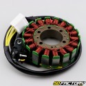 Stator d'allumage Honda SH 300 (2011 - 2014)