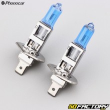 H1V 12W Phonoc Headlight Bulbsar Superwhite (pack of 2)