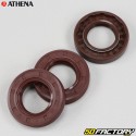 Engine seals Derbi Euro 2, 3, 4 Athena