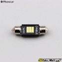 Vielzweck-Glühbirnen C5W 12V Phonocar 1.9 mm LEDs (36er Pack)