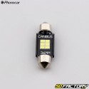 Vielzweck-Glühbirnen C5W 12V Phonocar 1.9 mm LEDs (36er Pack)