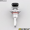 Scheinwerferlampen HB3, HB4 12V 25W Phonocar LEDs (2er Pack)