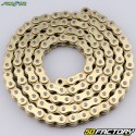 520 catena rinforzata (o-ring) 110 maglie Sunstar XTG oro