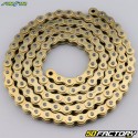 520 reinforced chain (o-rings) 110 links Sunstar EXR1 gold