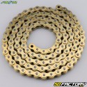 520 reinforced chain (o-rings) 120 links Sunstar EXR1 gold