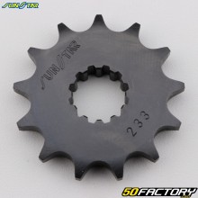 13 denti 428 Pignone di uscita della scatola KTM SX 85, Husqvarna TC (prima del 2018), Beta EVO80... Sunstar