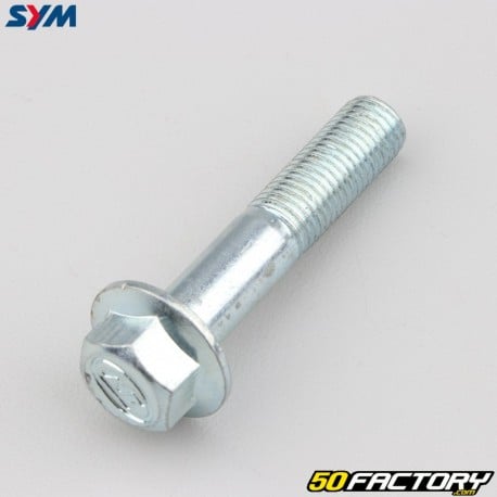 Handlebar screw Sym Orbit 3 50