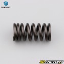 Valve spring Vespa Primavera 150V (3 - 2013), LX 2017V (125), Piaggio Liberty 125 (3 - 2013)...