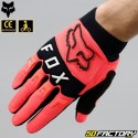 Luvas cross Fox Racing Dirtpaw laranja fluorescente com aprovação CE