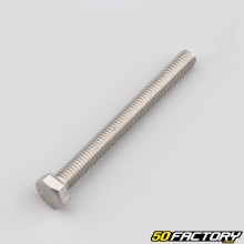 Tornillo de 6x60 mm de cabeza hexagonal (por unidad)