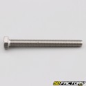 6x60 mm screw hex head (single)