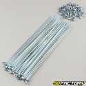 RayRuote da 3x200 mm con nippli (raggi 36) V1