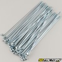 RayRodas de 3x150 mm com mamilos (36 raios)