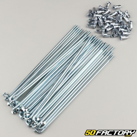 Ray3.5x185 mm Laufräder mit Nippeln (36 Speichen) V1