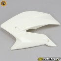 Speedcool SC3 SC4 Cream White Left Front Fairing