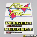 Dekor kit Peugeot Fox  V1