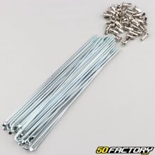 Raggi di ruota 3x195 mm con nippli (36 raggi) V2