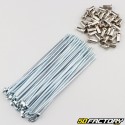 RayRodas de 3.5x150 mm com mamilos (36 raios) V2