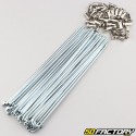 RayRodas de 3.5x195 mm com mamilos (36 raios) V2