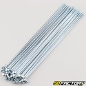 RayRuote da 3x170 mm con nippli (raggi 36) V2