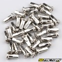 RayRuote da 3x170 mm con nippli (raggi 36) V2