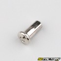 RayRuote da 3x170 mm con nippli (raggi 36) V2