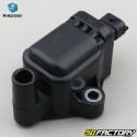 Ignition coil Vespa Primavera 125 3V (since 2020), Piaggio Beverly 350 (2013 - 2014) ...