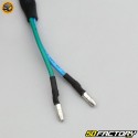 Speedcool SC3, SC4 Blinker hinten links