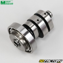 Albero a camme Minarelli WR VVA Yamaha MT, Fantic XEF... 125