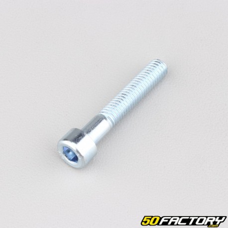 M6x35mm BTR head screw