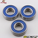 Cuscinetti ruota posteriore Kawasaki KX 80, 85 e paraolio All Balls