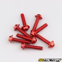 Tornillos, arandelas, grapas...M5, M6 rojos (lote)