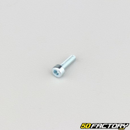 Parafuso 3x10 mm cabeça BTR classe 8.8 (simples)