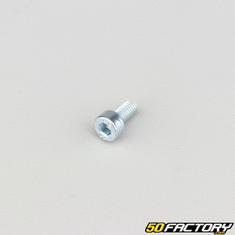 Tornillo de 4x8 mm cabeza BTR clase 8.8 (simple)