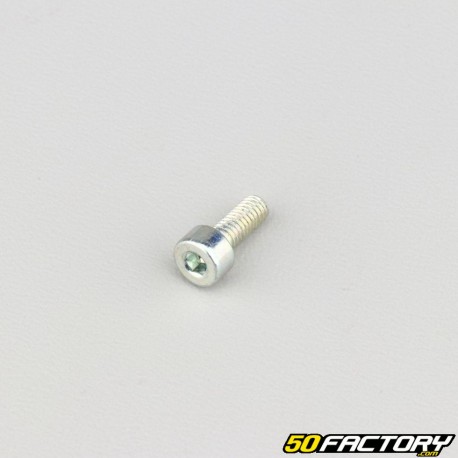 Tornillo de 4x10 mm cabeza BTR clase 8.8 (simple)