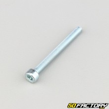 Vite 4x40 mm Testa BTR classe 8.8 (per unità)