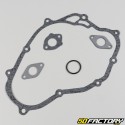 Engine seals Suzuki TS 50