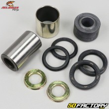 Paraolio e anelli ammortizzatore anteriore Honda TRX 400 (1999 - 2004) All Balls