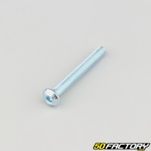 Tornillos de 5x40 mm cabeza BTR abombada clase 10.9 (por unidad)