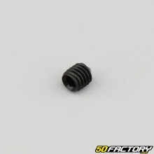 Vite senza testa 5x6 mm con estremità appuntita (venduto singolarmente
)