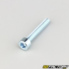 Tornillo de 6x35 mm cabeza BTR clase 8.8 (por unidad)