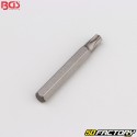 Punta Torx T30 1/4" BGS lunga