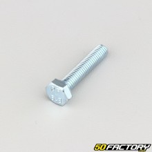 Schraube Sechskantkopf Klasse 6 30x8.8 mm (einzeln)